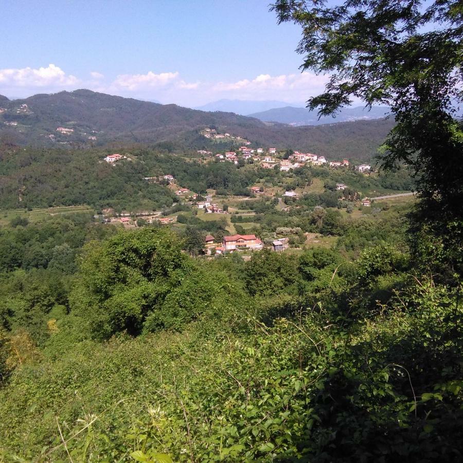 Bargoncello Leilighet Riccò del Golfo di Spezia Eksteriør bilde