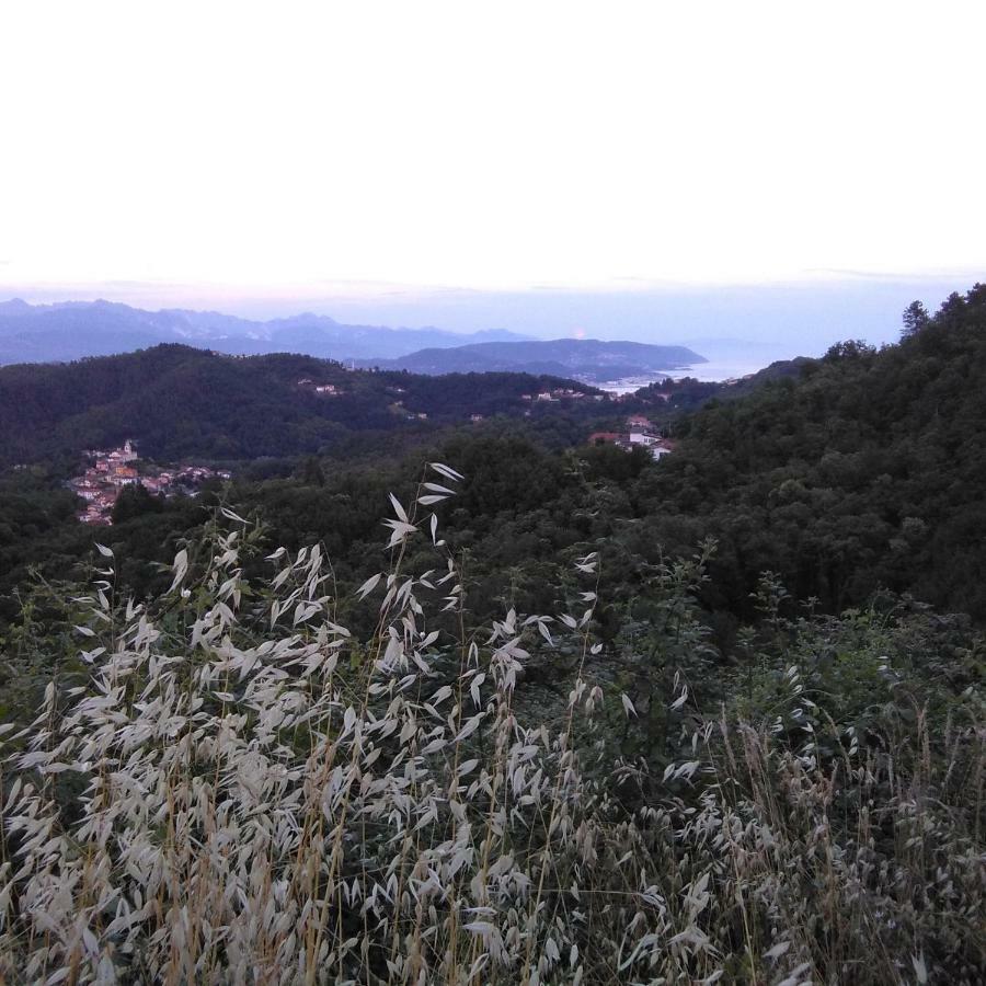 Bargoncello Leilighet Riccò del Golfo di Spezia Eksteriør bilde