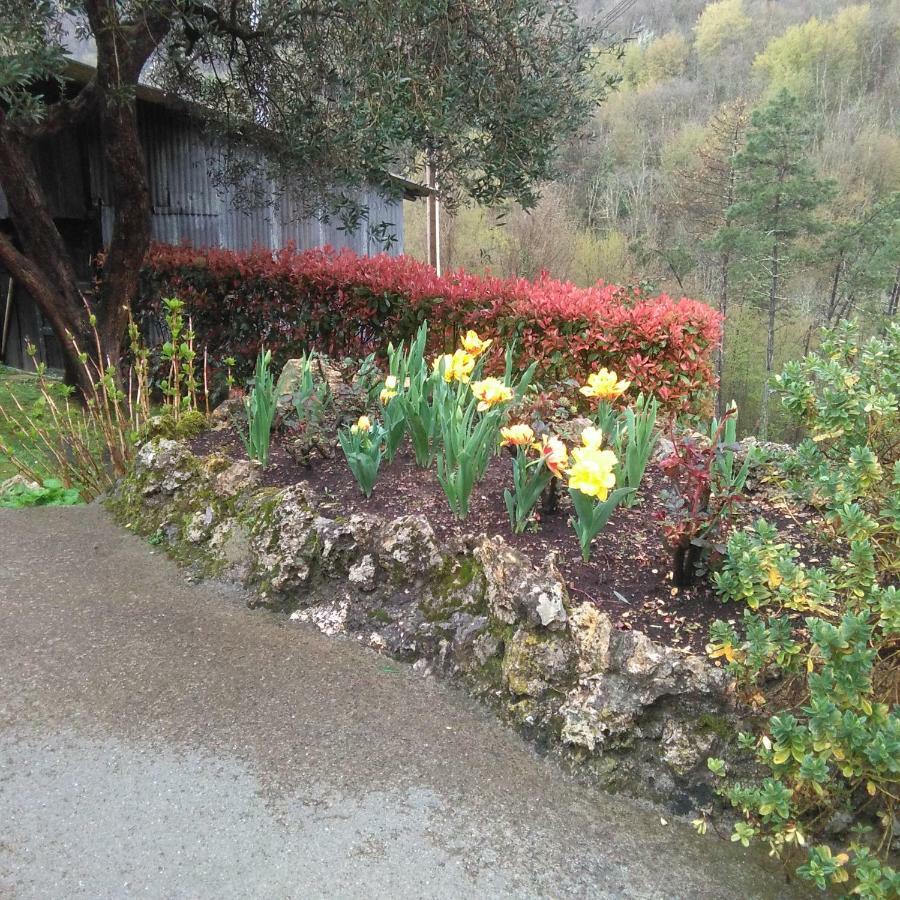Bargoncello Leilighet Riccò del Golfo di Spezia Eksteriør bilde