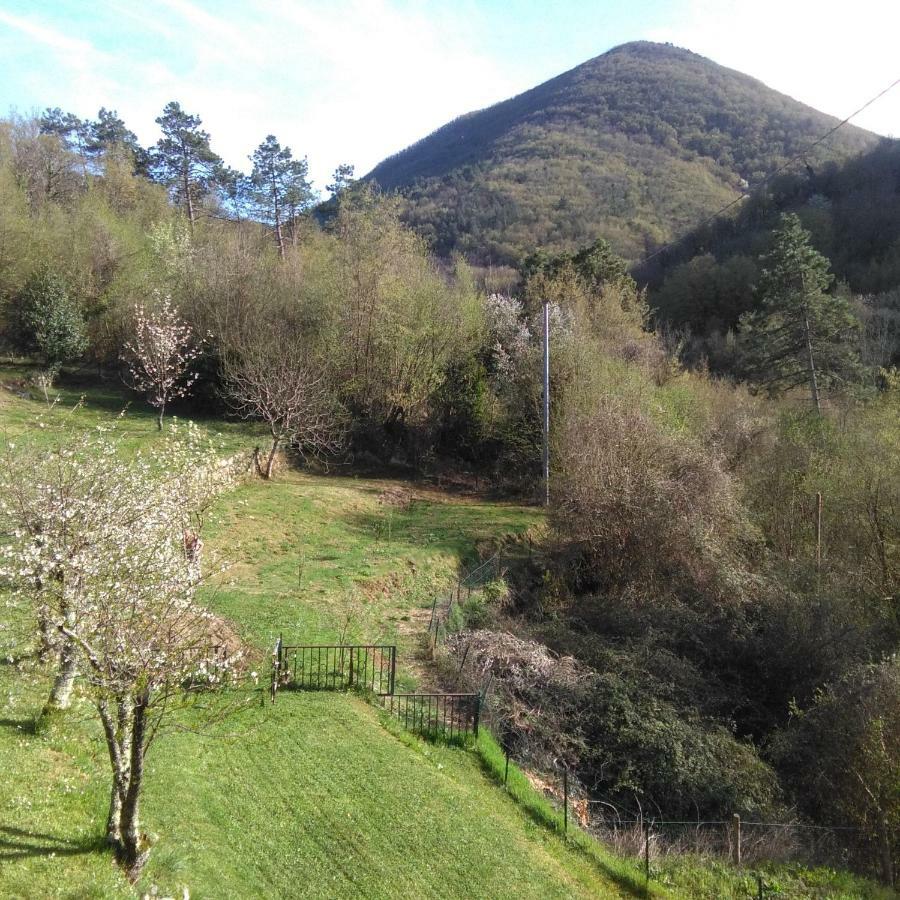 Bargoncello Leilighet Riccò del Golfo di Spezia Eksteriør bilde