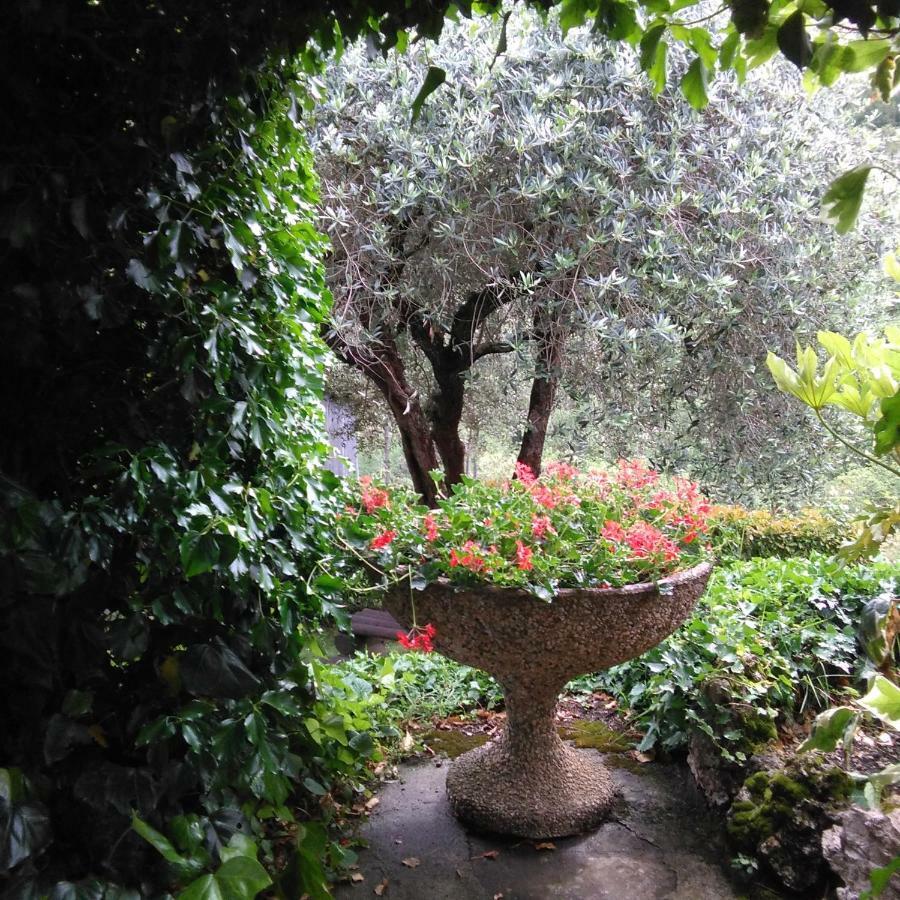 Bargoncello Leilighet Riccò del Golfo di Spezia Eksteriør bilde