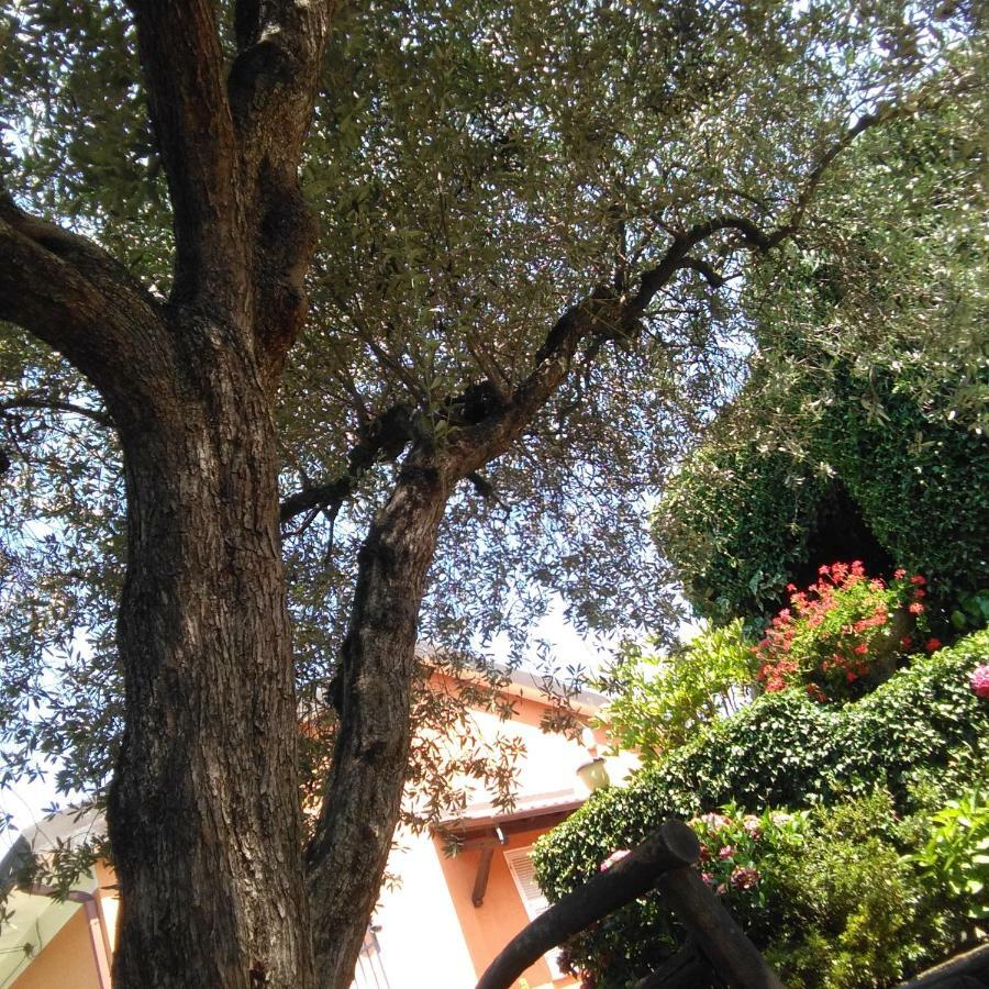 Bargoncello Leilighet Riccò del Golfo di Spezia Eksteriør bilde