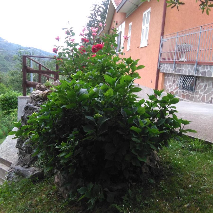 Bargoncello Leilighet Riccò del Golfo di Spezia Eksteriør bilde